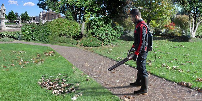 fd51fe54cafda5c1343befad46e3aa4399ca8f23