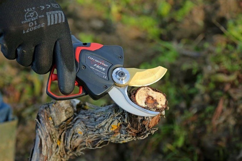 ccb0e79b9be7bc642814258814673df97c455594