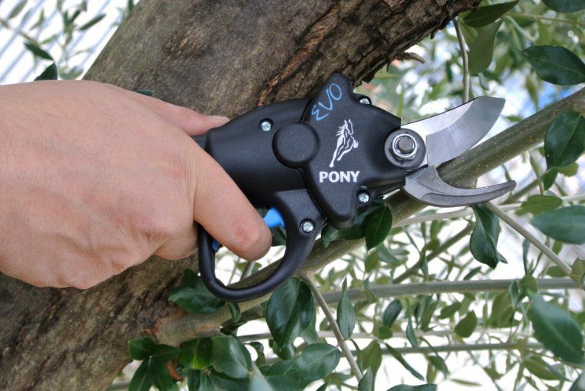 225210d2d39590ce32c83fe1d0f0038a3df1de0f