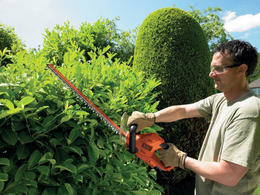 8f368166b87508001b108dfe40bbfe145f80b21a