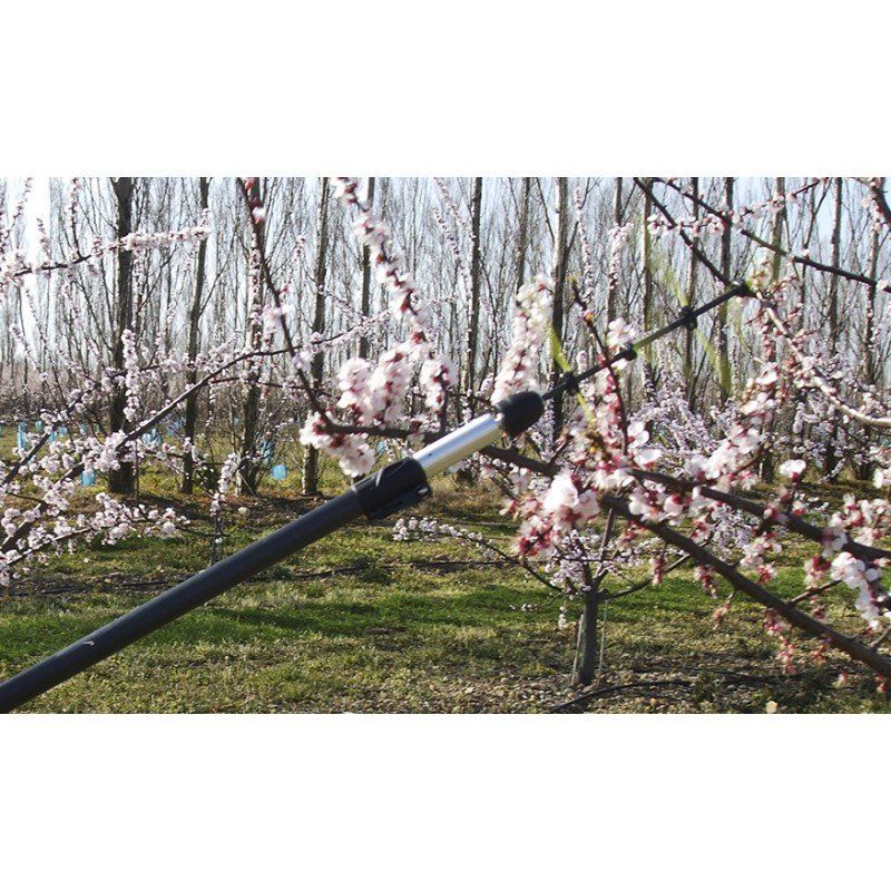 631c1f3d26a5455d81a29b963c547b3a93996a8a