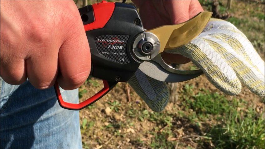 89050dcc6f46f19172428ce97a353b1c743a639f