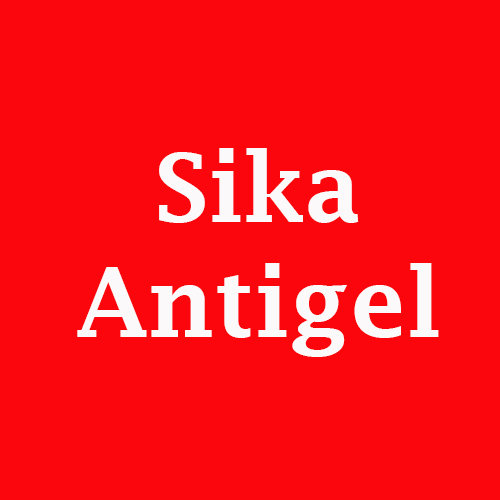 plantilla para categorias 1