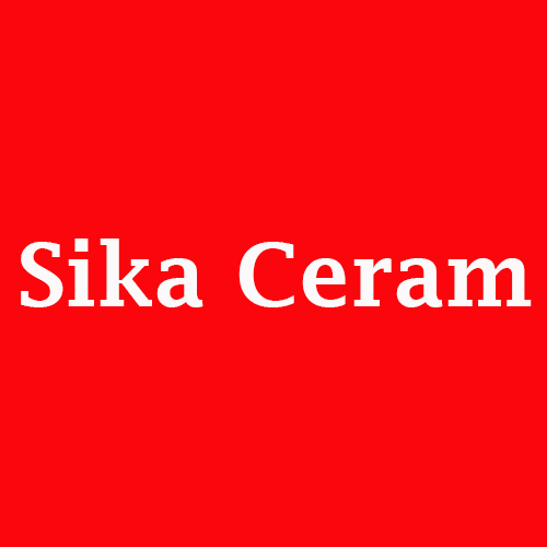 plantilla para categorias 1