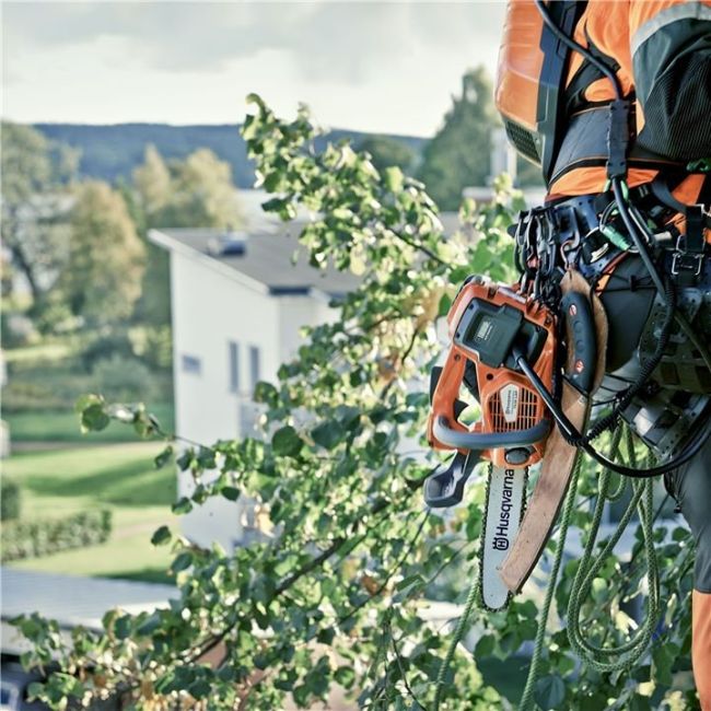 Promoción Herramientas de poda